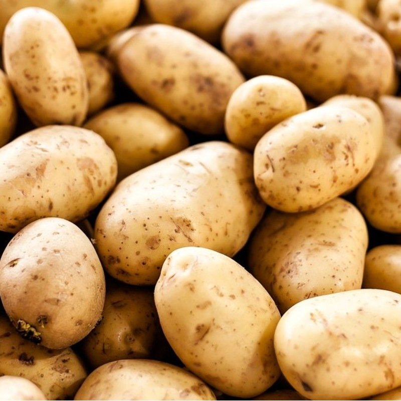 Vegetable